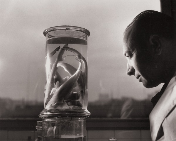 © Atelier Robert Doisneau